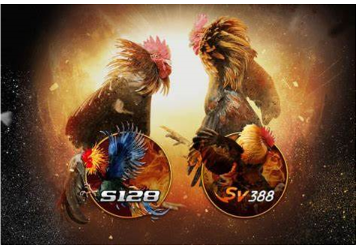 Đá gà cựa sắt là trò chơi đặc sắc trong sảnh đá gà Win555